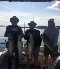 Biggest Salmon I've Ever Seen In BC